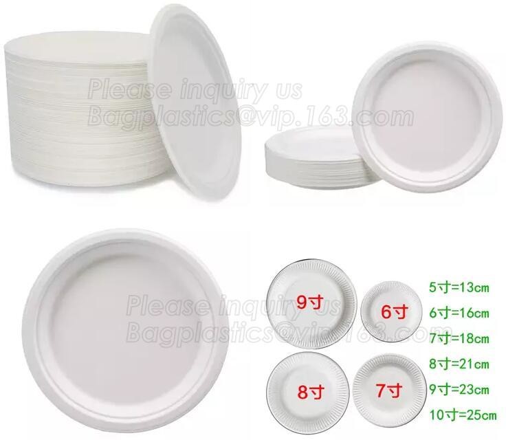 Premium Meal Prep Containers 3 Compartment BPA-FREE Food storage Microwavable Dishwasher Safe plastic Lunch bento box