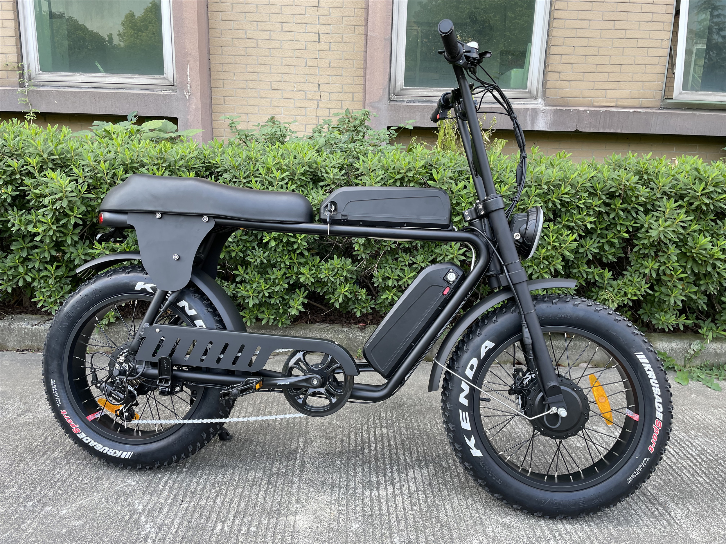 48V 150W Dual Motor Fat Tire Electric Bike Hydraulic Disc Brakes Ebike For Adults