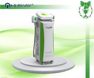Wholesale promotion promotion year end biggest promotion effective fat removal Cryolipolysis body slimming machine from china suppliers