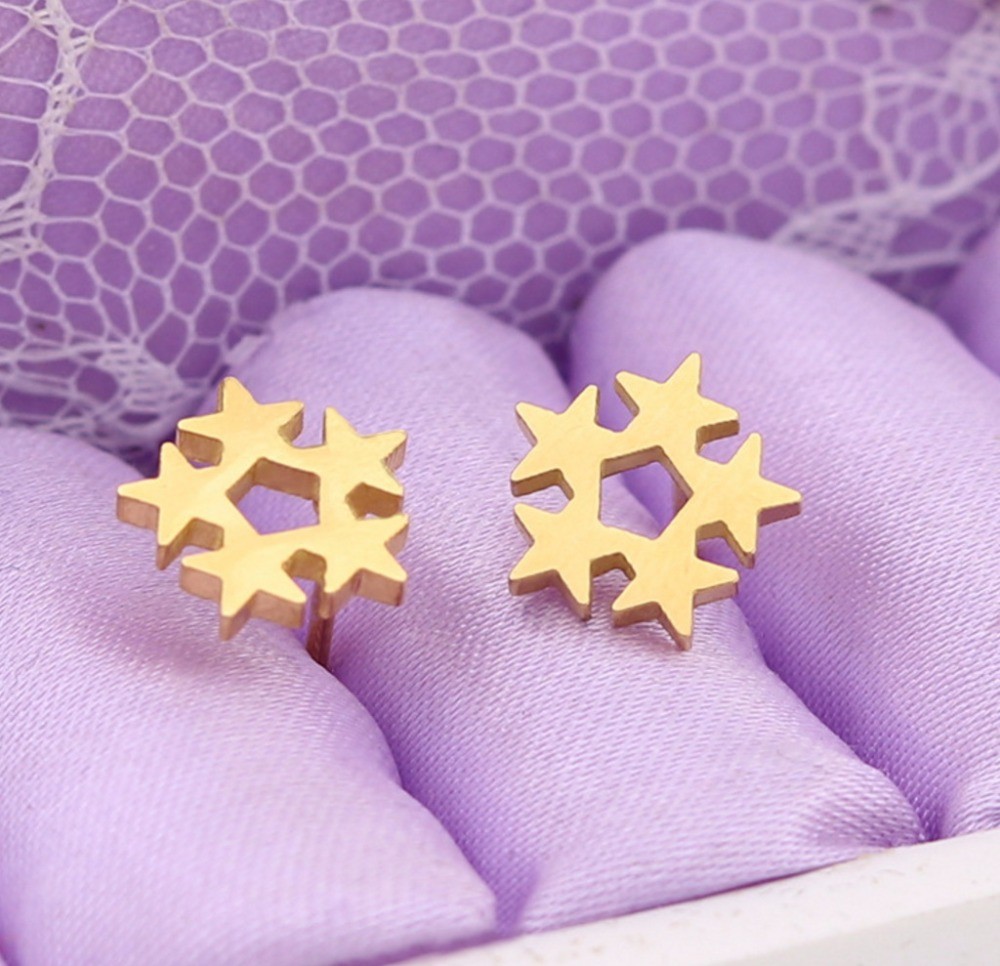 Customized Earring Surgical Stainless Steel Titanium Silver Gold Black Plated Star Stud Earrings