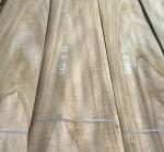 0.5mm Chinaberry Sliced Wood Veneer for Furniture Door Panel and Woodworking