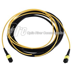 Wholesale 12 Fibers LSZH Single Mode 4.5mm MPO Patch Cord from china suppliers
