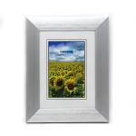 ISO Certification Metal Wall Picture Frames 50X60 CM / 20X25 CM ODM / OEM