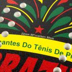 Carbon Fiber Padel Brasil Beach Tennis Rackets Paddle Soft EVA Face Raqueta With
