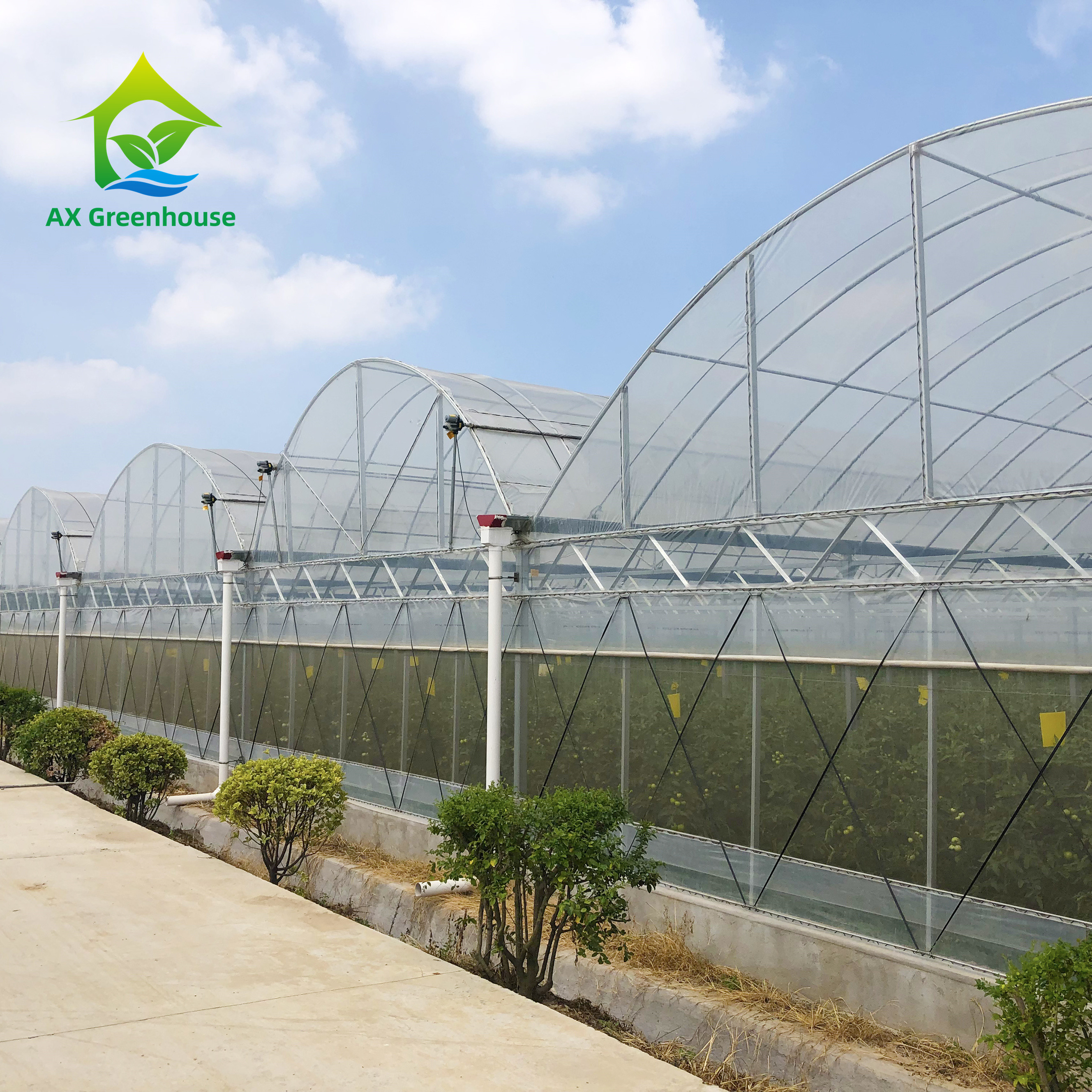 Multi Span Custom Poly Tunnel Vegetable Film Greenhouses With Irrigation System