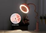 Sunflower desk lamp fan / rechargeable no sound personal desk table flexible fan