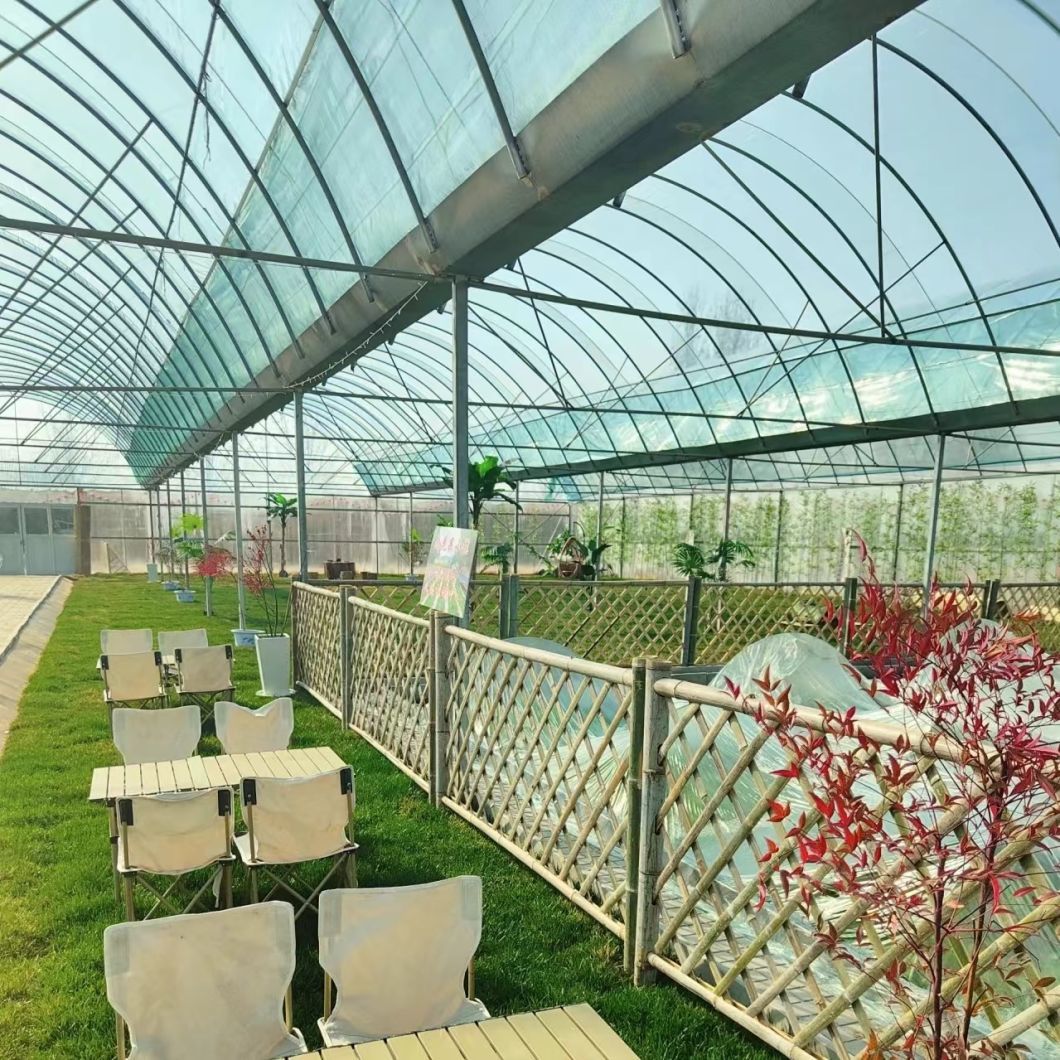 China Supplier Multi Span Greenhouse with Cocopeat Soil