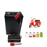 Customize 36v Ebike Lifepo4 Battery Pack IP65 waterproof 72v 40ah 24v
