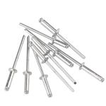 Steel Car Maintenance Accessories Uncoated Aluminium Sealed Rivets