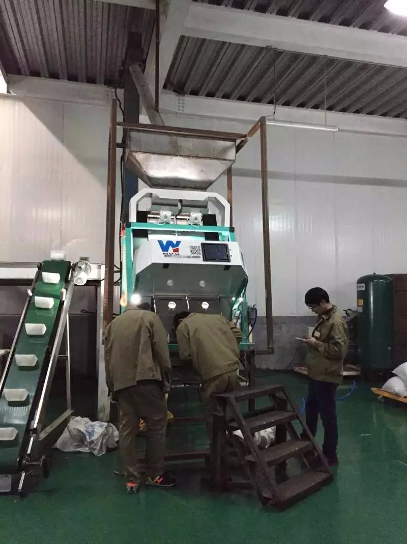 CCD Camera High Speed Color Sorting Machine For Peanut Production Optical Color Sorter