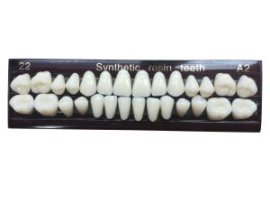 Wholesale Material Dental Acrylic Resin Teeth Tooth Colored Acrylic Resin Teeth For Dentures from china suppliers