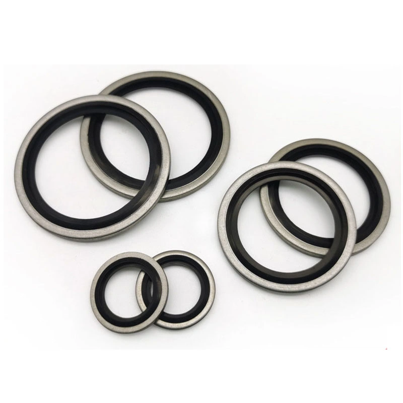 Strength Factory China Top5 Gasket Seal Combination Gasket Washer Seal Thrust Washer