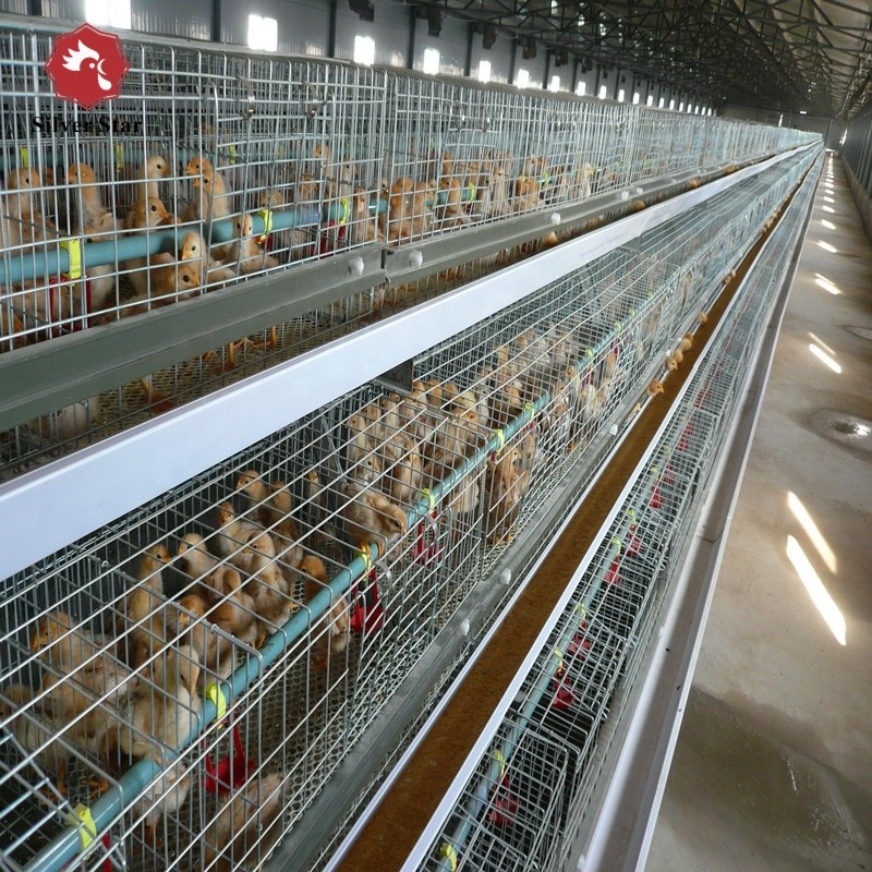 4 Tier Battery Broiler Chicken Cage A Type In Philippines Automatic