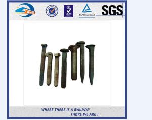 Wholesale ZhongYue customize galvanize track spikes for Thailand railway project from china suppliers