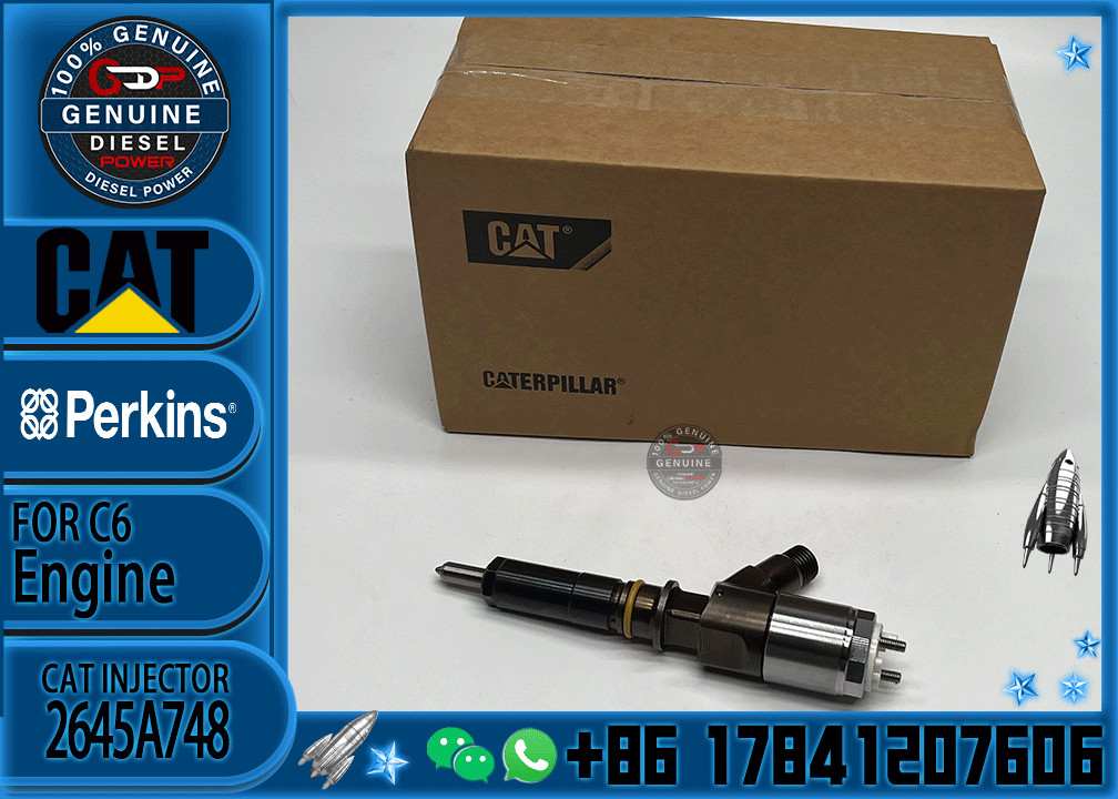 Common rail injector fuel injecto 10R-7675 2645A748 2645A743 320-0670 for C4.2 C6.4 Excavator C4.2 C6.4 320D