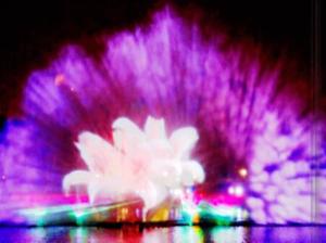 Wholesale Stainless Steel Digital Fountain Movie Show Nozzle Jet from china suppliers