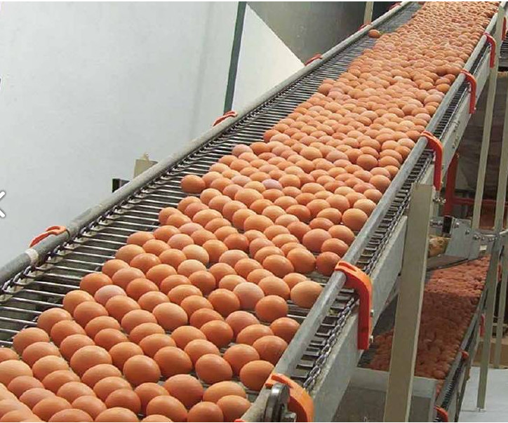 Heat Resistant 4x4 Supports Customization Ptfe Mesh Conveyor Belt