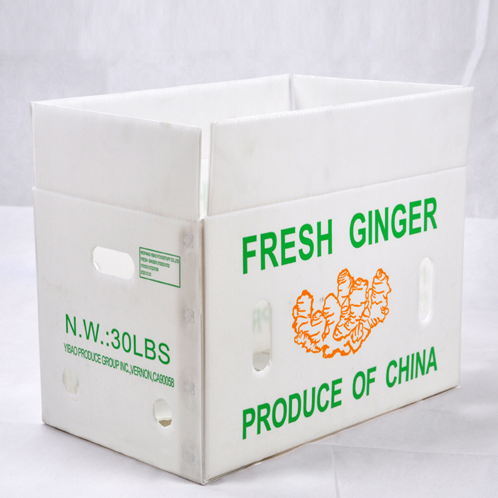 Reusable PP Corrugated Sheet Box Black White