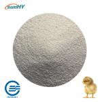 HyTestin 90 Ultrafine 90% Sodium Butyric Acid For Aqua Animal