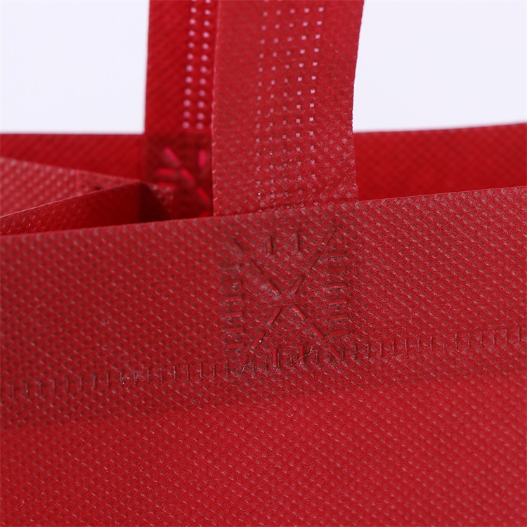 Custom Logo and Design XYDAN Reusable Non Woven Bag for Supermarket Sustainability