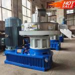 Stainless Steel Sawdust Wood Pellet Mill Wood Pellet Making Equipment