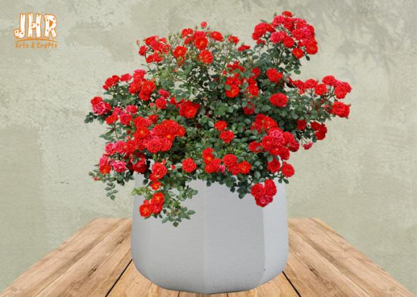 Frosted Clay Plant Pots Homewares Decorative Items Geometric Flower Pots Garden
