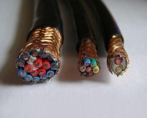 Wholesale Instruments Cables Computer Cable DJYPVP DJYPVP22 DJYPVRP DJYVP DJYVRP DJYPVRP DJYPVRP22 DJYVRP from china suppliers