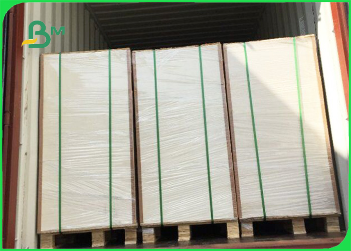 Sheet size 60 * 90cm Printed ink evenly 12pt 14pt SBS / C1S paper in roll