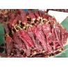Buy cheap Guajillo Sun Dried Chilli Red Guajillo Peppers Sweet Flavor KOSHER from wholesalers