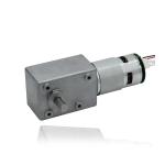 Double Shaft Brushless Electric Motor 36V For Tools Electric Fans