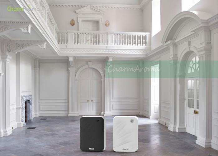 150 ML Portable Home Scent Diffuser Machine Cover 300 CBM With Security Lock