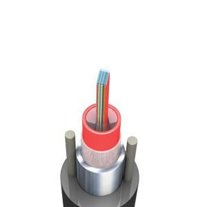 Wholesale KEXINT 24 - 432 Core Ribbon Optical Fiber Cable Duct Central Tube Ribbon Gel Filled from china suppliers