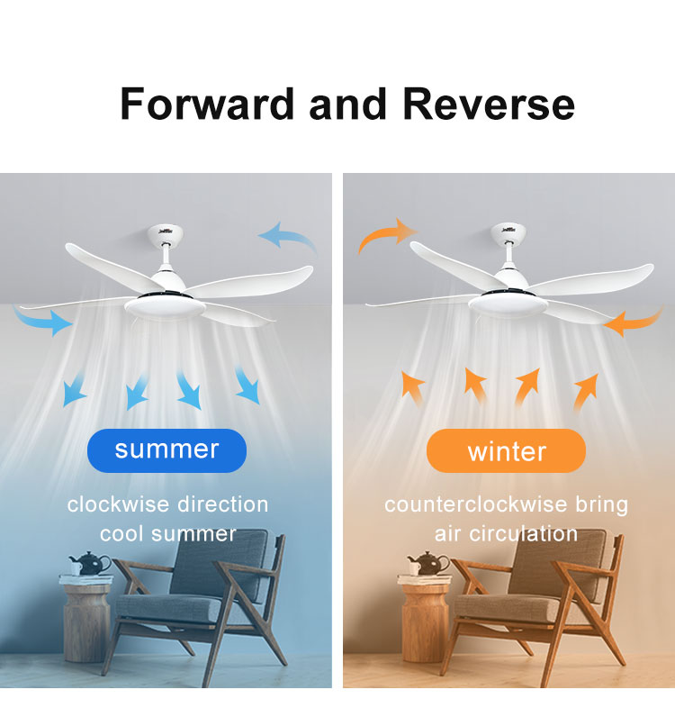 Modern Home 48" Ceiling Fan with Remote Control and Light Design 5 Plastic Blades