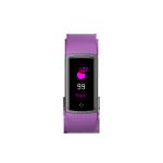 HaoZhiDa International Company Limited HZD1805S hot sale color screen bracelet