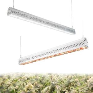 Wholesale Anti Heavy Moisture Horticulture Grow Lights , Indoor And Outdoor Led Grow Lights from china suppliers