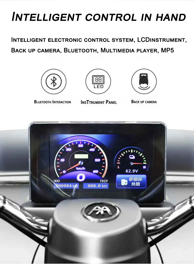 Hot Sell China Manufacture Electric Adult Raysince Mini Three Wheel Electric Car with EEC