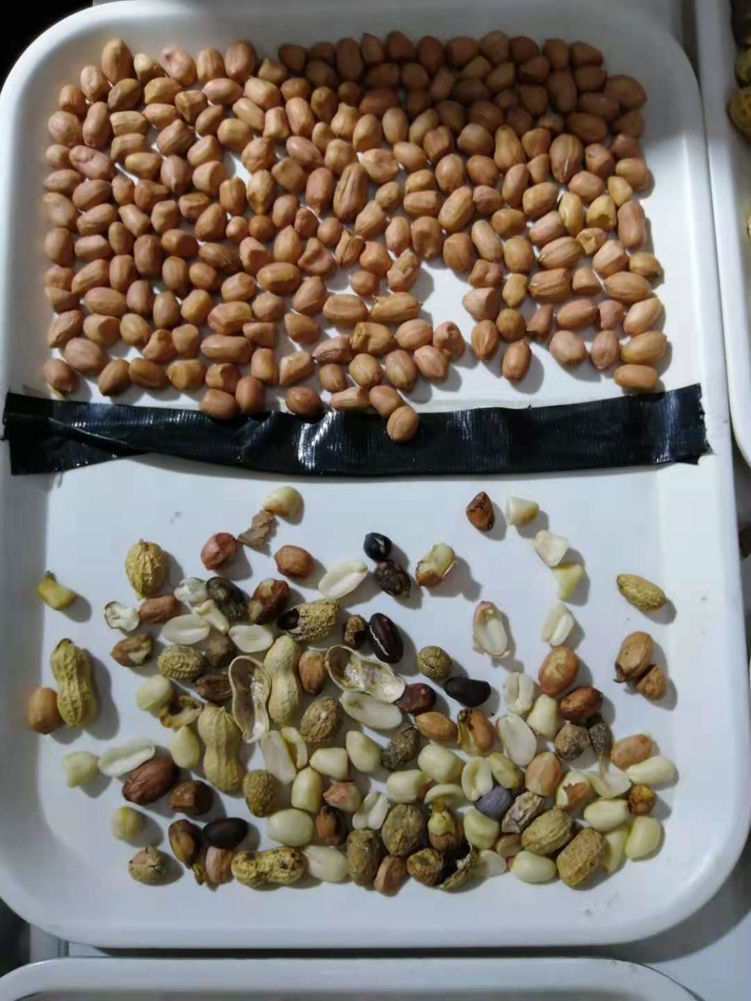 Metal Ejector Groundnut Machine , CCD Camera Peanut Color Sorter