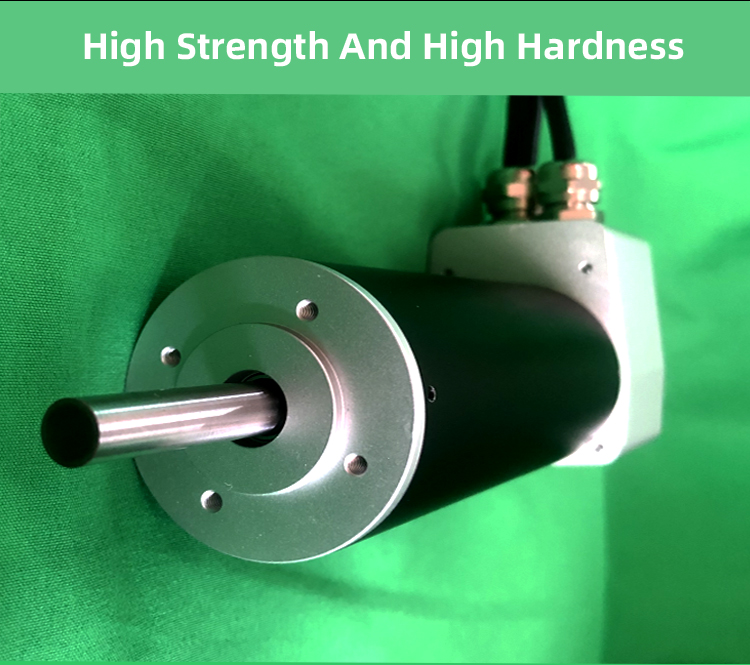 Micro 24v BLDC Brushless Dc Motor Customized For Mini Fan Motor