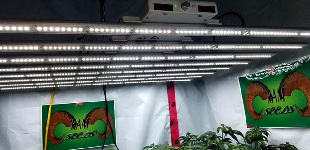 No Lens Artificial Grow Lights / EPI Led Greenhouse Lights 360W 1.8μMol/J B6-9K