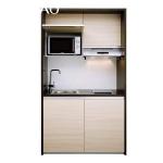 Modern Small Kitchen Cabinets With Single Bowl Sink for Small Room Apartment