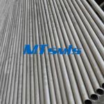 ASTM A789 Seamless S32750 3/4Inch Duplex Steel Tube