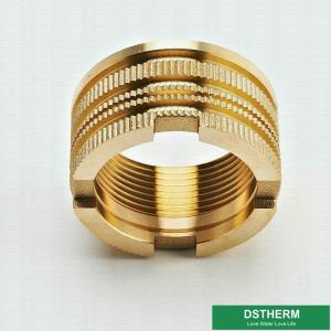 Wholesale Italy Designs Customized Designs Precise Designs Female Brass Inserts For Ppr Fittings from china suppliers