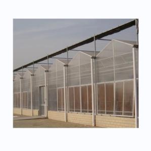 Wholesale 8mm PC Sheet Multi Span Agricultural Greenhouses For Sustainable Agriculture from china suppliers