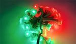 12V 20mm LED Pixel Lights for Outdoor Christmas Decor Long-Lasting Performance