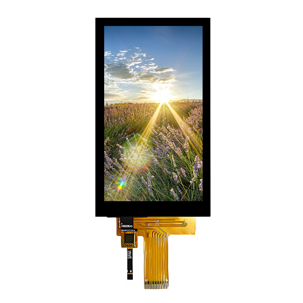 Multi Touch PCAP TFT 5 Inch Display MIPI Interface 720*1280 Pixels Low Price Garrantee