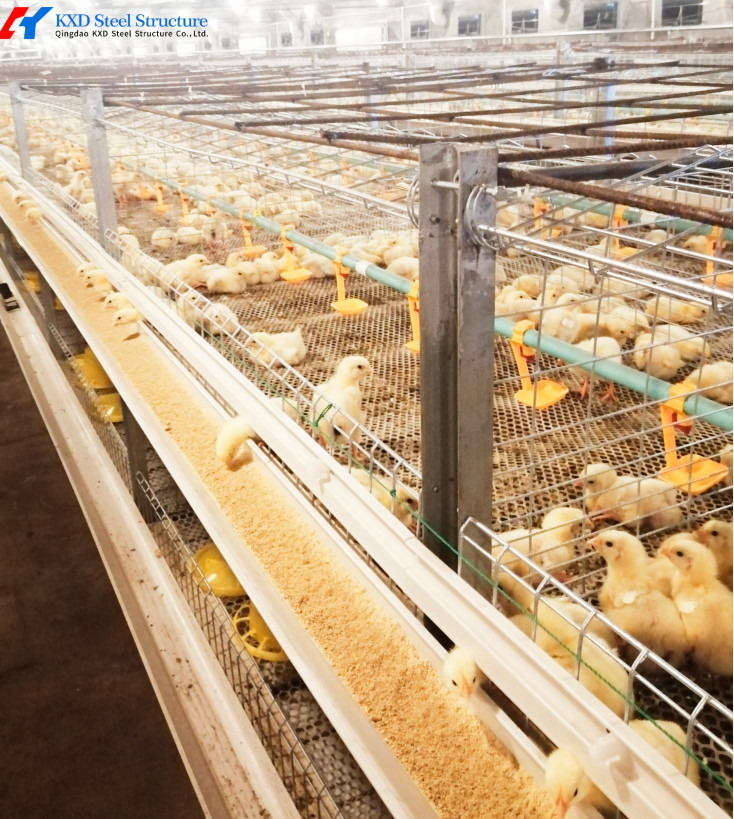 Fully Automated Broiler Chicken Cage System For Philippines Poultry Farming
