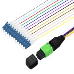8 12 24 cores OM3 OM4 MPO MTP to LC breakout cable
