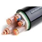 16/25/35/50/70/95/120/150/185 Custom Size 3-Core XLPE PVC Insulated Power Cable