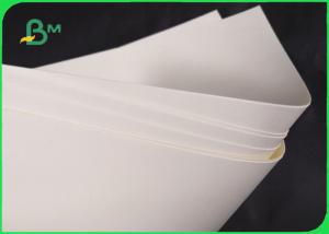 Wholesale Biodegradable 190gsm 210gsm Cupstock Base Paper For Food Bowl 720MM 860MM from china suppliers