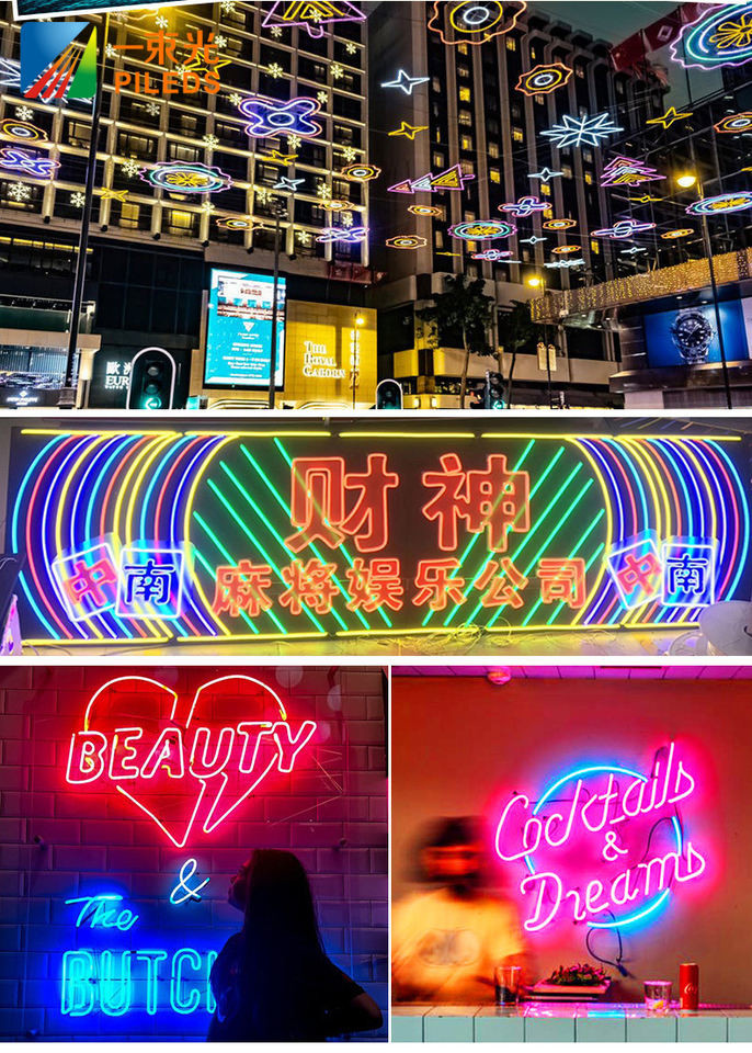 Silicon LED Strip Neon Flex Rope Light Ip67 Waterproof DC12V DC24V